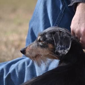 Meet your Posher, Joseph